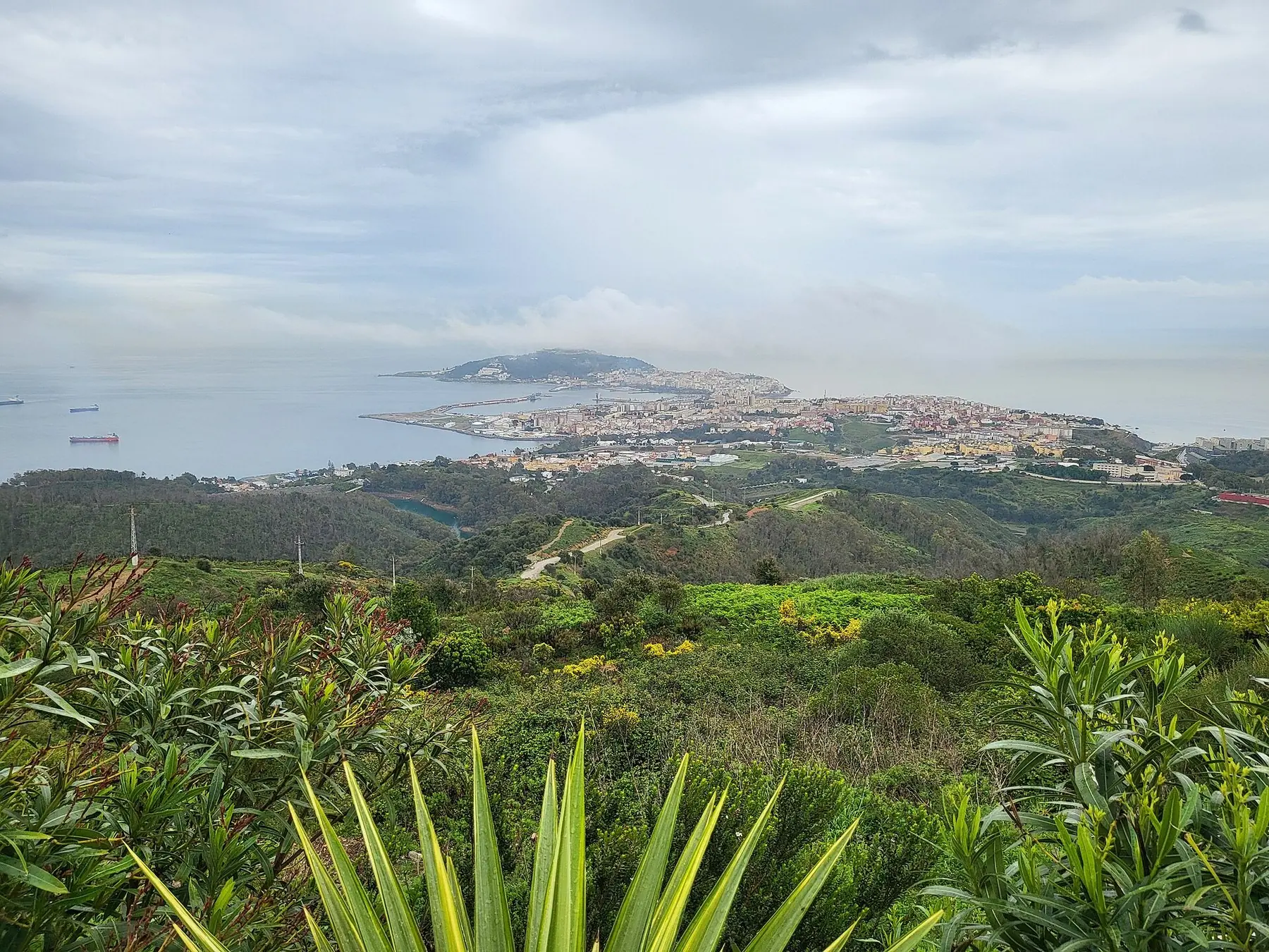 Utsikt från en grönskande bergssluttning över staden Ceuta på sin halvö i Medelhavet