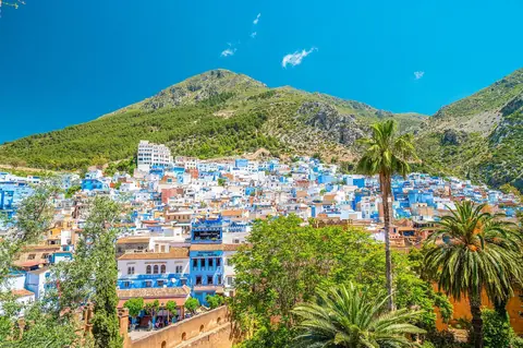 Den blåvita bergsstaden Chefchaouen på en sluttning under gröna berg, med palmer i förgrunden