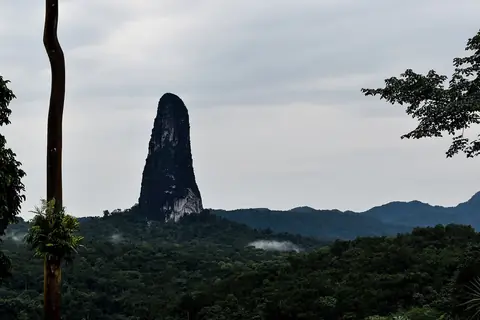 Den branta vulkanpluggen Pico Cão Grande som reser sig ur tät regnskog på São Tomé