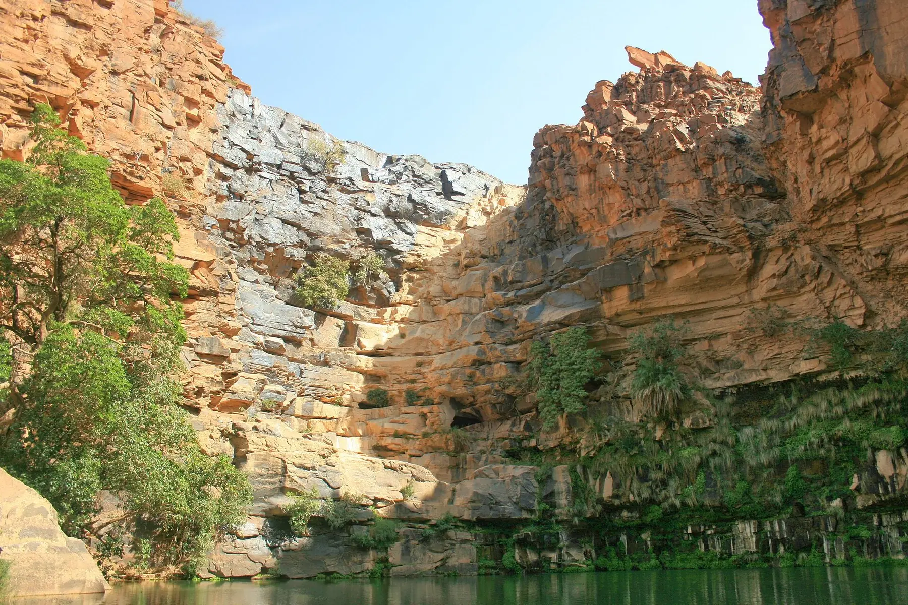 Grönt vatten i botten av en ravin med höga, skiktade sandstensväggar vid Guelta Maya i Ennedi