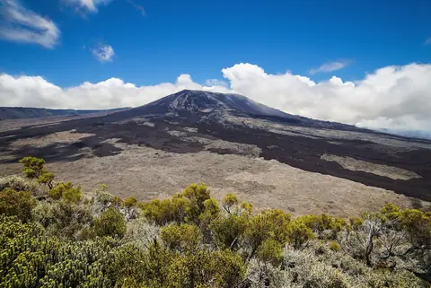 Vulkanen Piton de la Fournaise med mörka lavaflöden och buskar i förgrunden under blå himmel