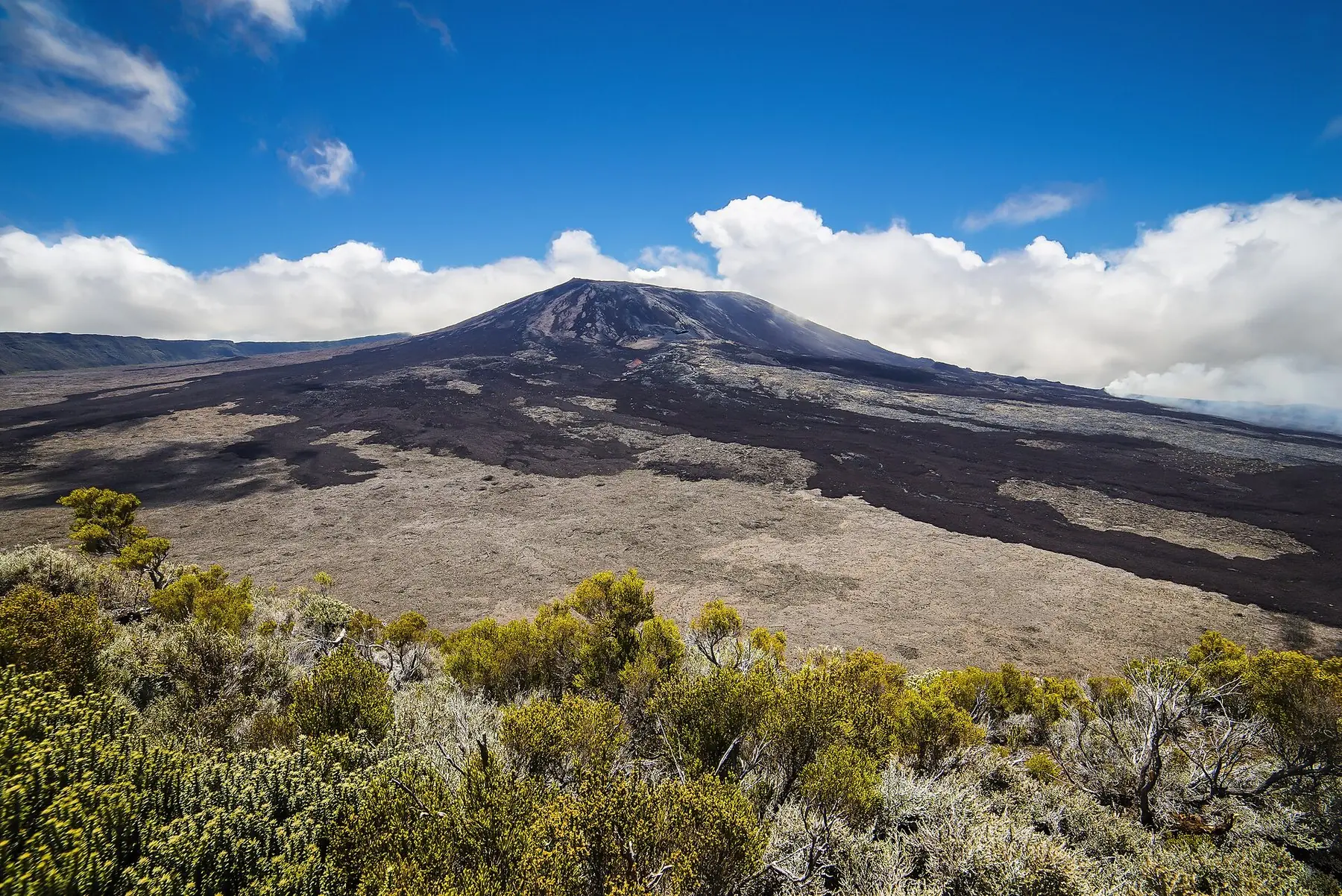 Vulkanen Piton de la Fournaise med mörka lavaflöden och buskar i förgrunden under blå himmel