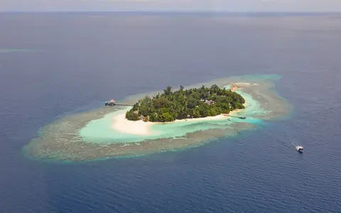 Liten grön ö med vit sandstrand omgiven av ett turkost korallrev i det blå havet, sedd från luften