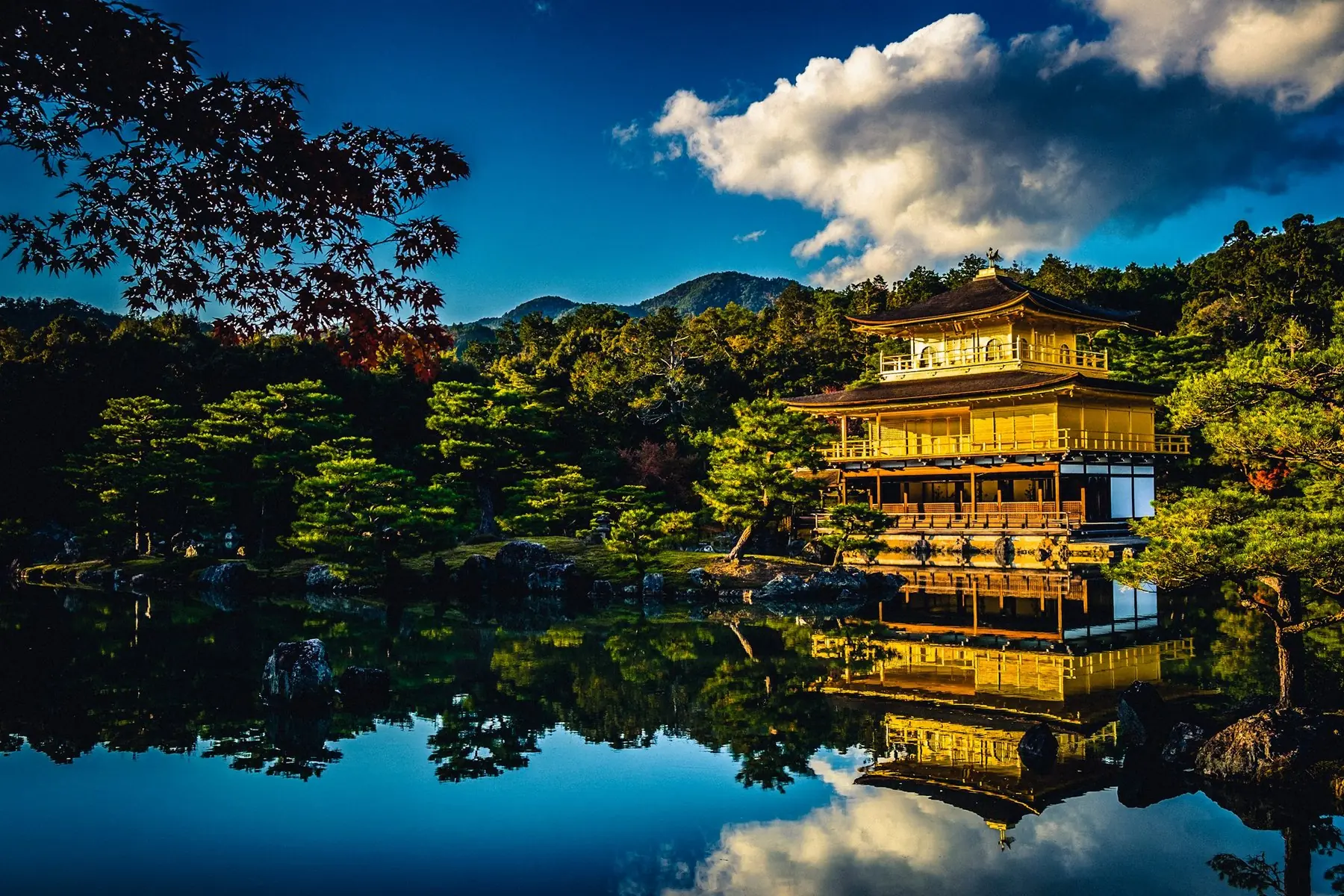 Det gyllene templet Kinkaku-ji i Kyoto speglas i dammen framför