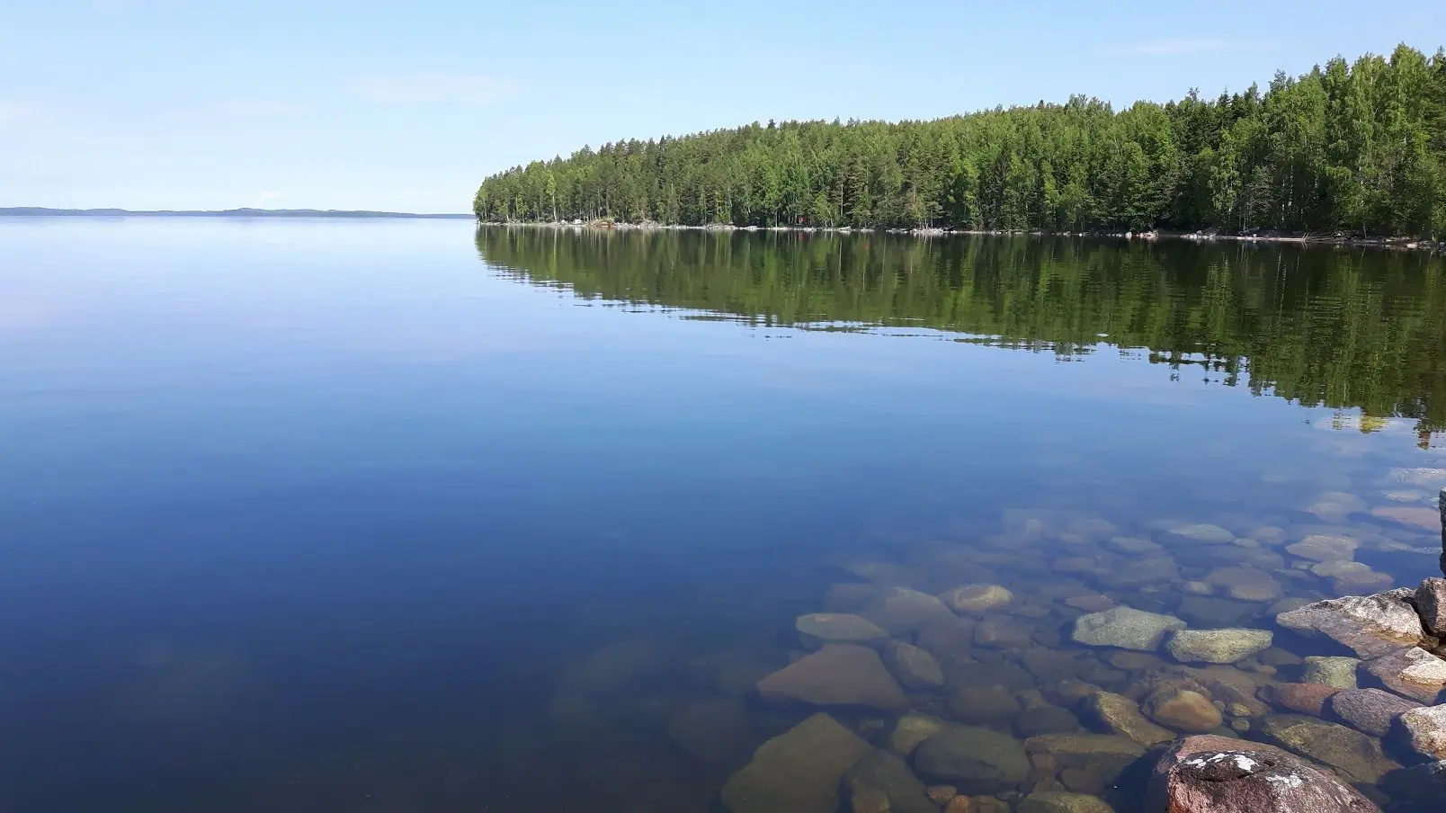 Spegelblank sjö med klart vatten över stenar och en barrskogsklädd udde i Saimen i Finland