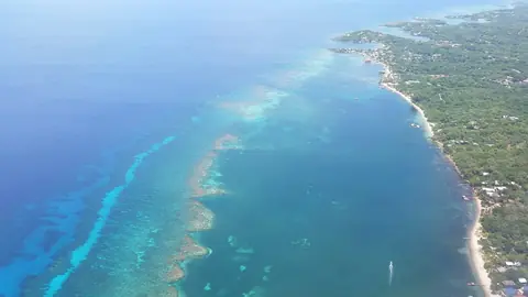 Flygvy över Roatáns grönklädda kust och korallrevet i det turkosa havet
