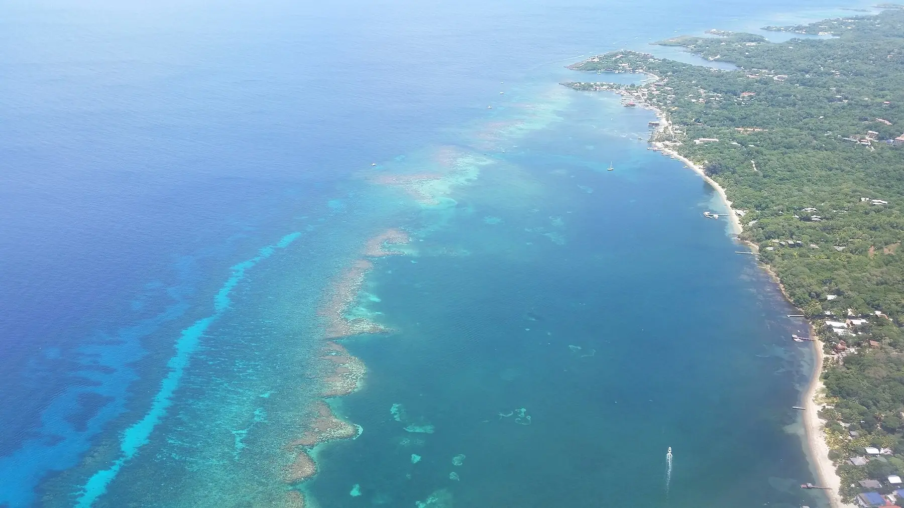 Flygvy över Roatáns grönklädda kust och korallrevet i det turkosa havet