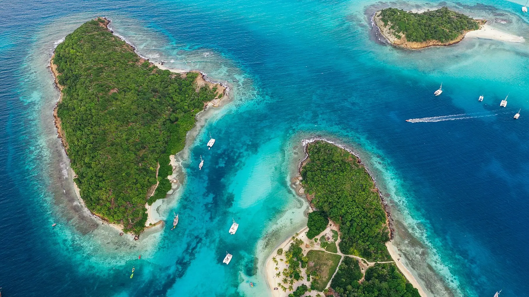 Flygvy över de gröna öarna Tobago Cays omgivna av turkost vatten och ankrade segelbåtar