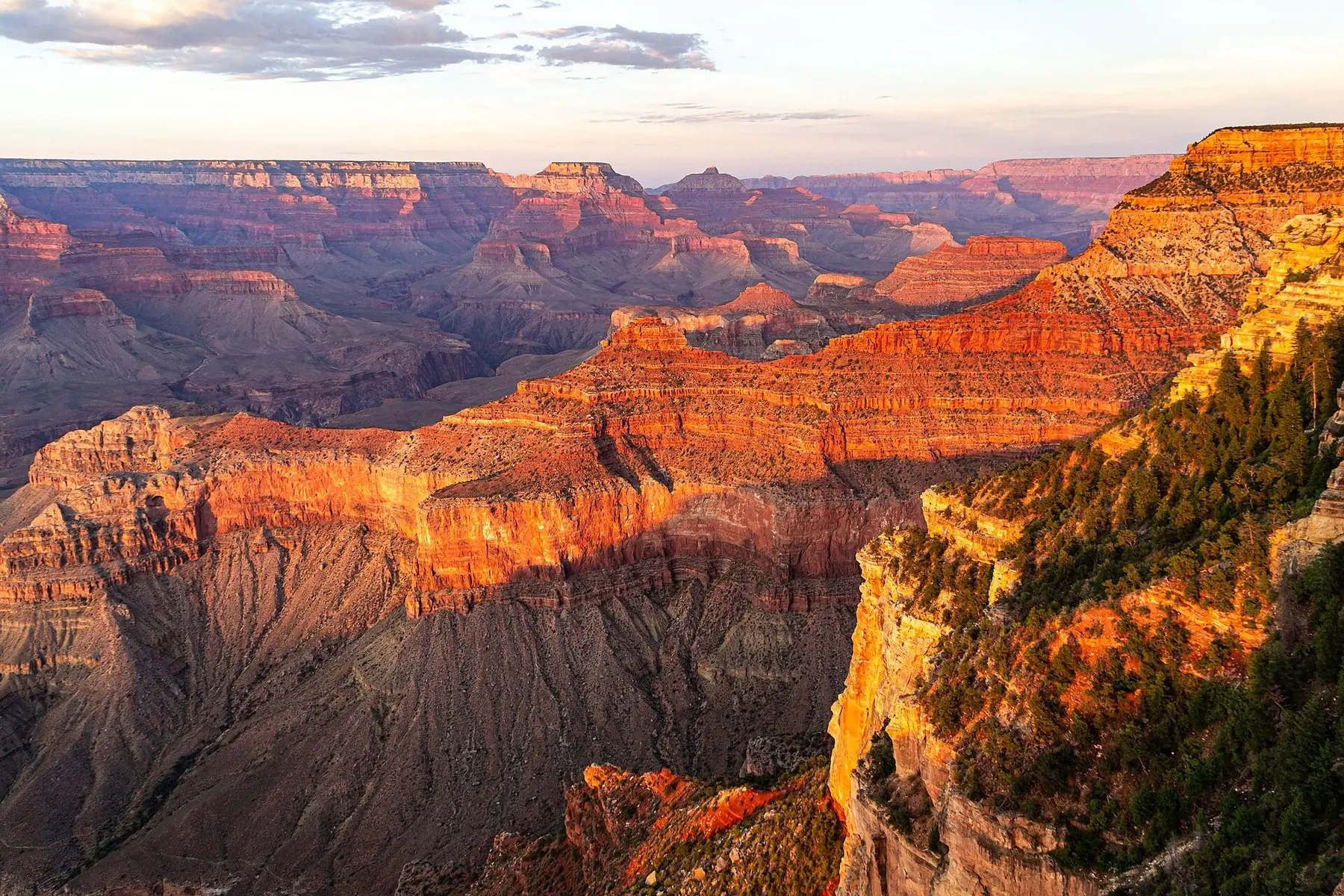 Grand Canyons röda klippterrasser i kvällssol sedda från South Rim