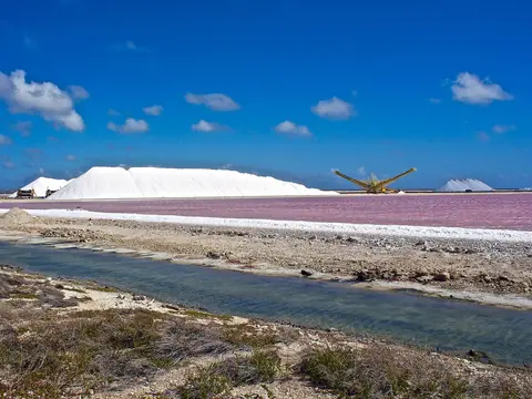 Rosa saltdammar och ett vitt saltberg under blå himmel på Bonaire