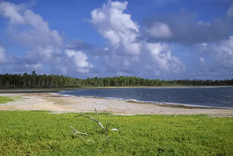 Grön strandvegetation och en ljus sandstrand vid den salta lagunen på ön Manra i Phoenixöarna under blå himmel med vita moln