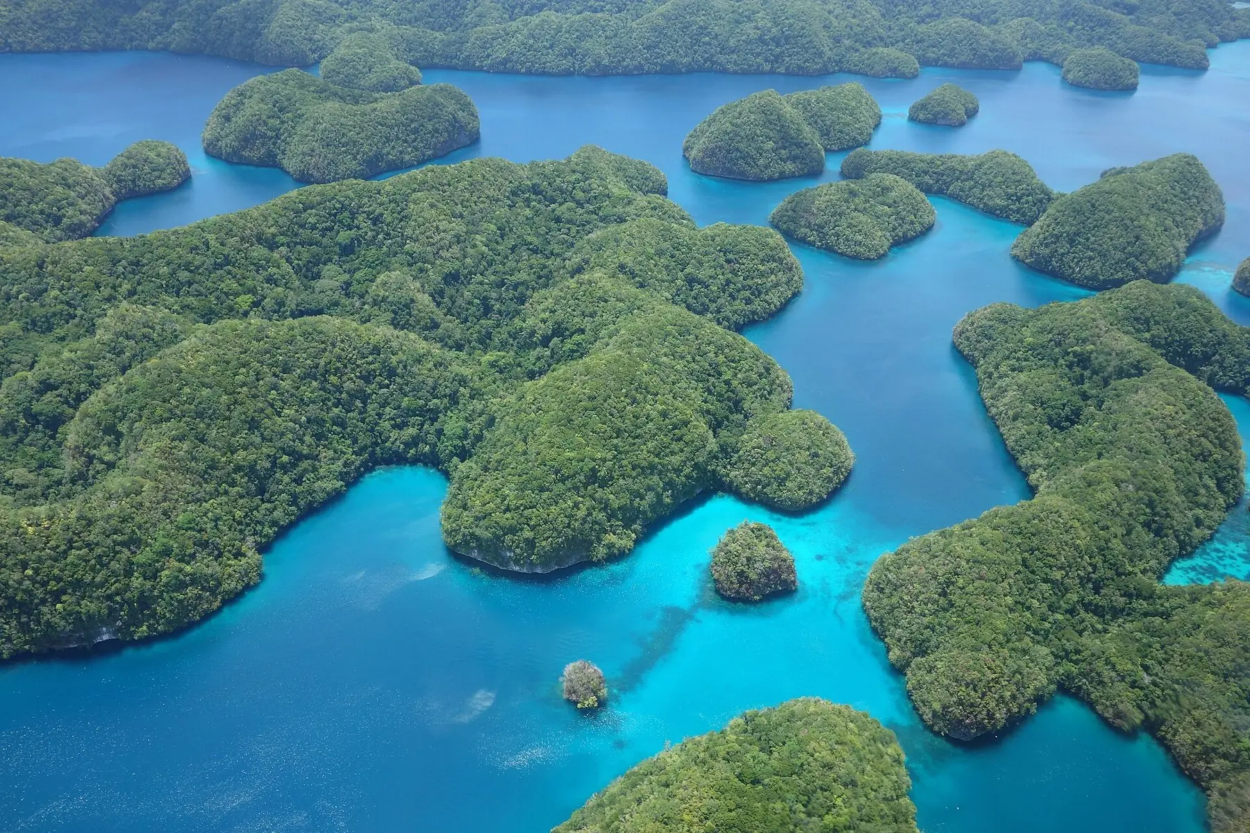 Skogklädda kalkstensöar i ett turkost hav i Rock Islands i Palau, sett från luften