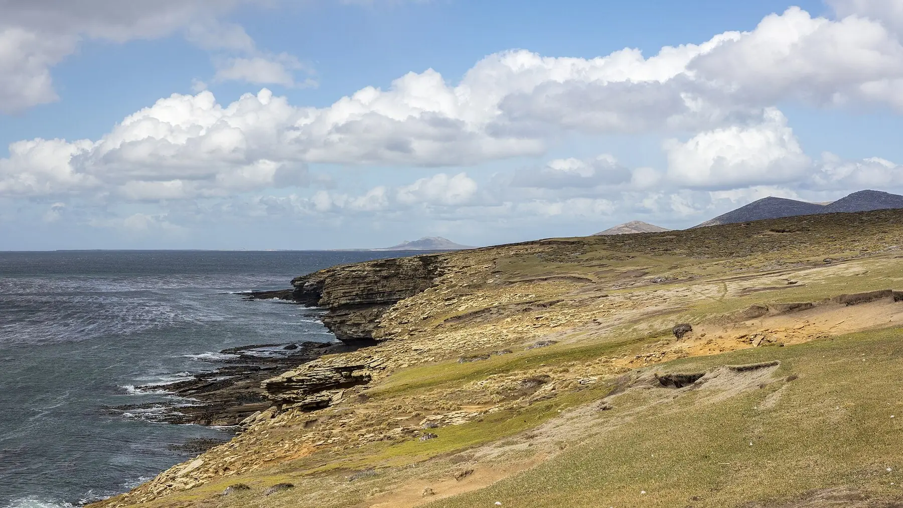 Gräsklädd kustlinje med låga klippor och havet på Saunders Island